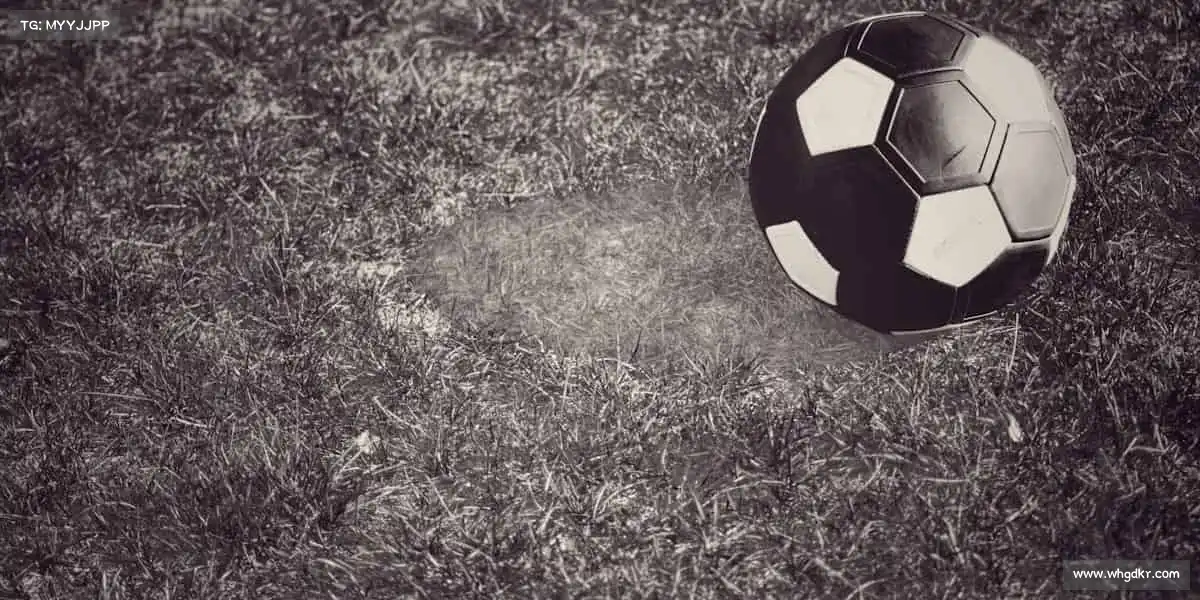 行业领先的理由